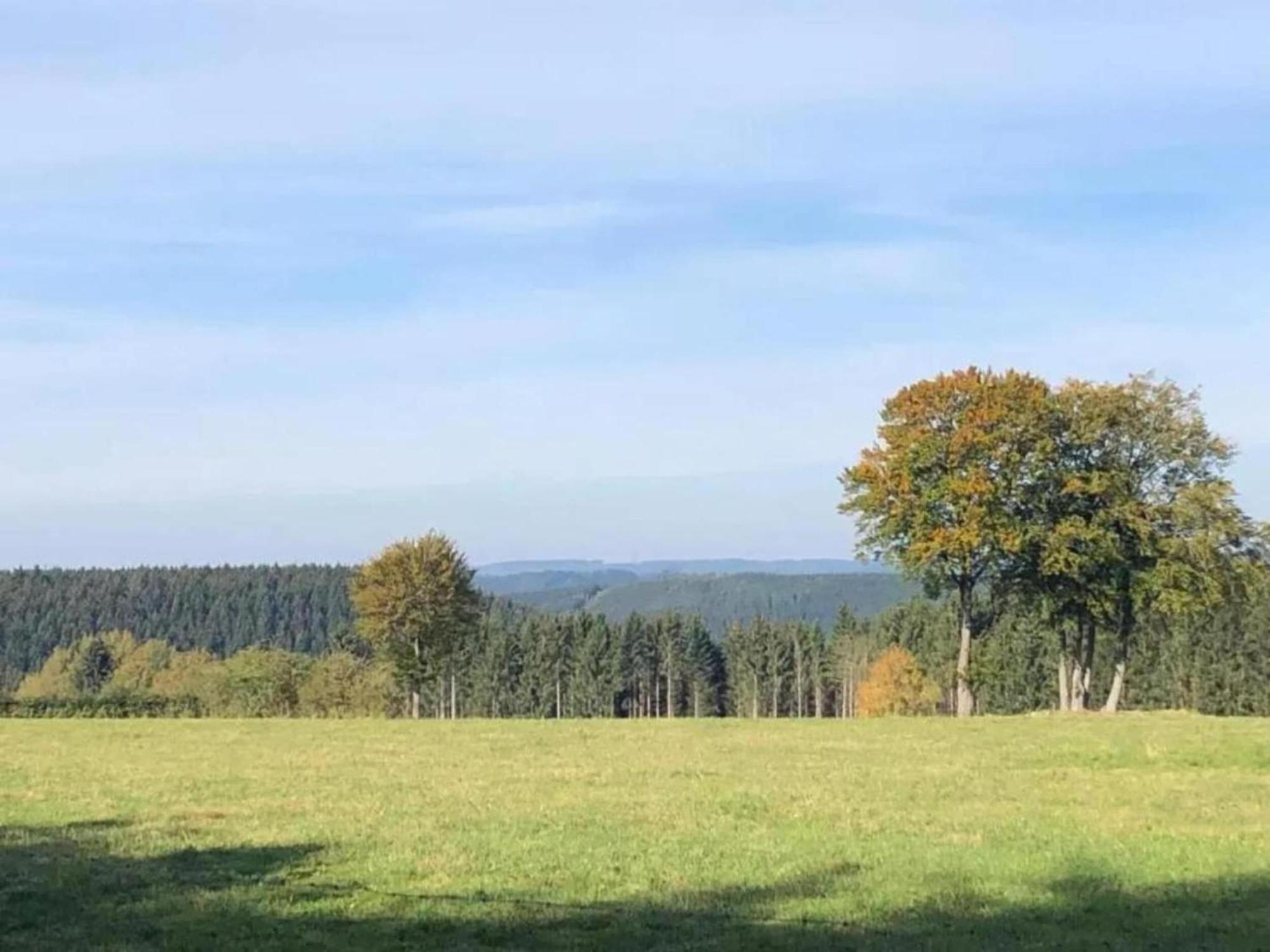 Apartment Magnificent In Willingen With Balcony Willingen (Upland)