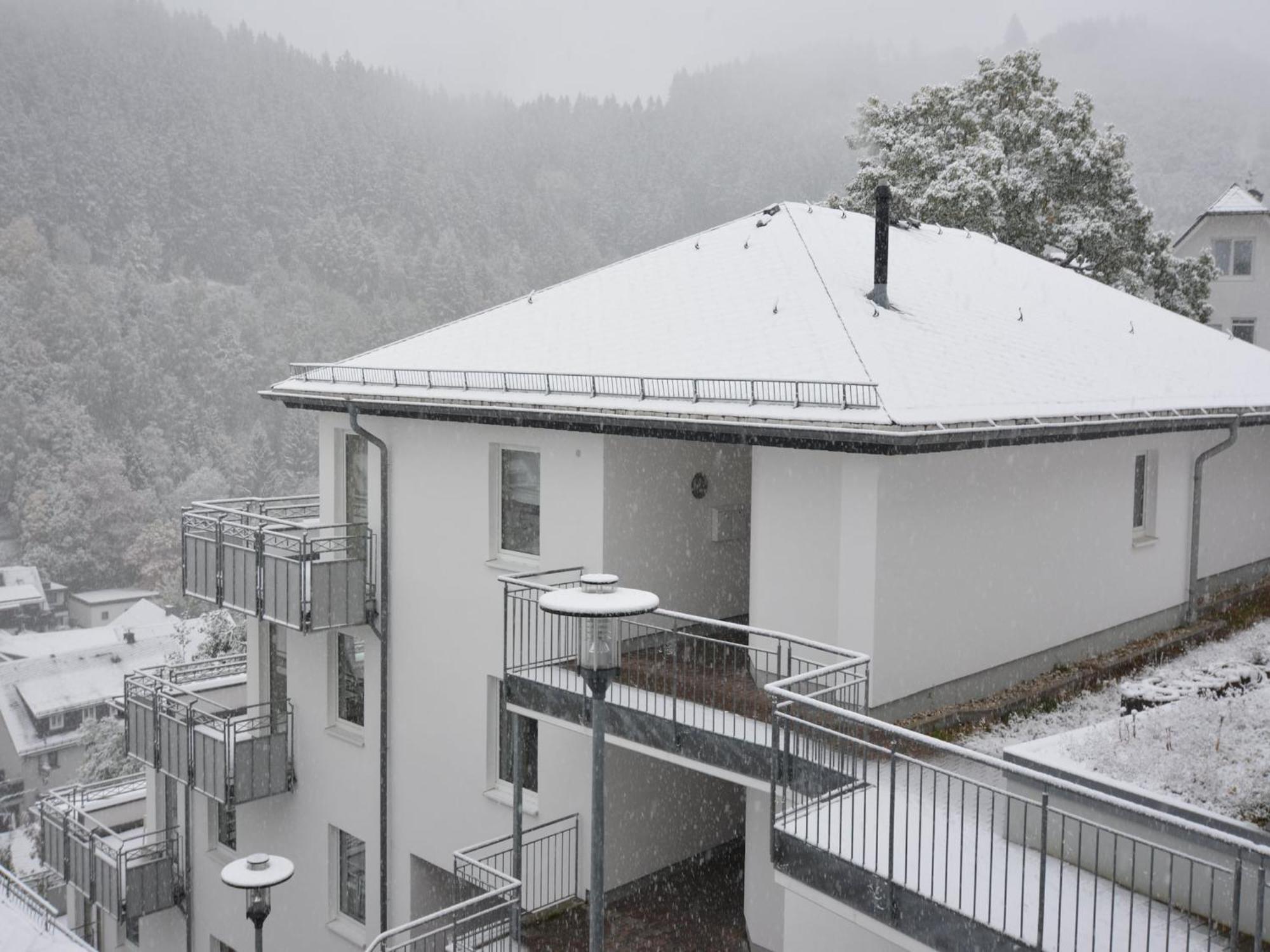 Magnificent In Willingen With Balcony Apartment *